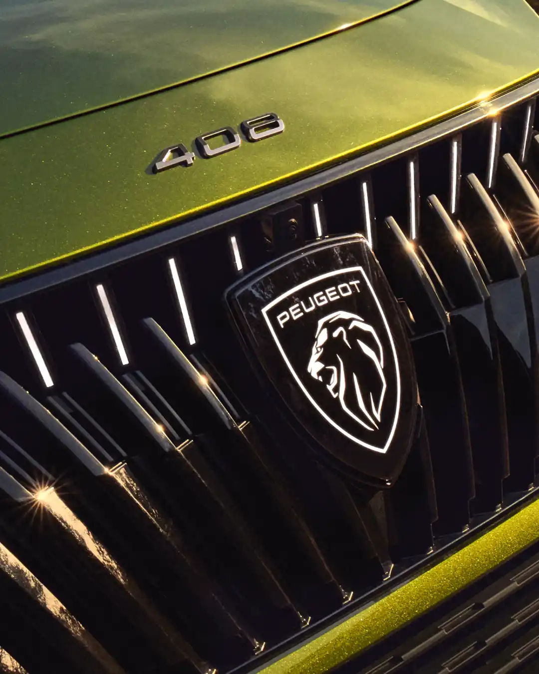 Griglia anteriore illuminata